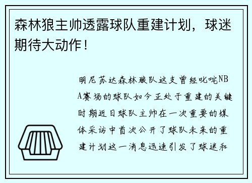 森林狼主帅透露球队重建计划，球迷期待大动作！