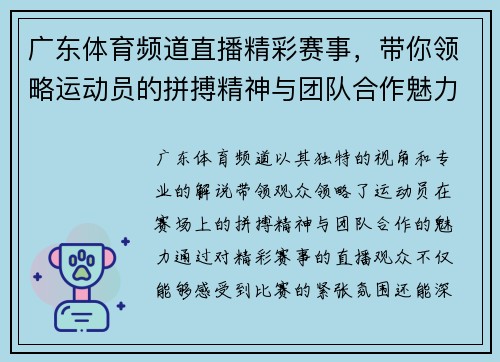 广东体育频道直播精彩赛事，带你领略运动员的拼搏精神与团队合作魅力