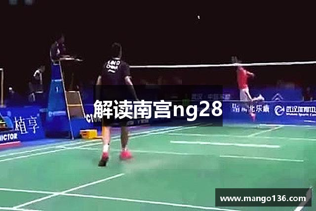 解读南宫ng28